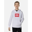 MIRCO HOODIE BOY